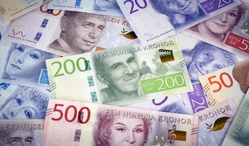 Шведская крона обмен валюты paybin net что это